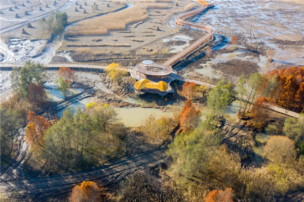 图片 (1)_副本3.jpg