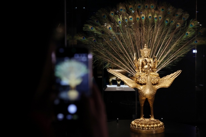 20251114-006 (1).jpg